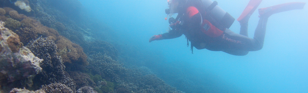 竜串ダイビングセンター カバー