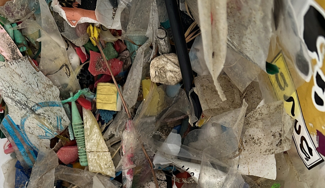 稲毛サンセットビーチクリーン レポート