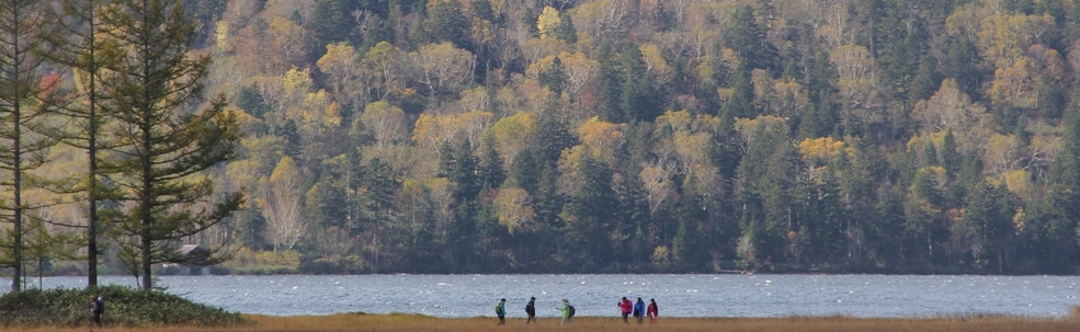 NPO尾瀬自然保護ネットワーク カバー
