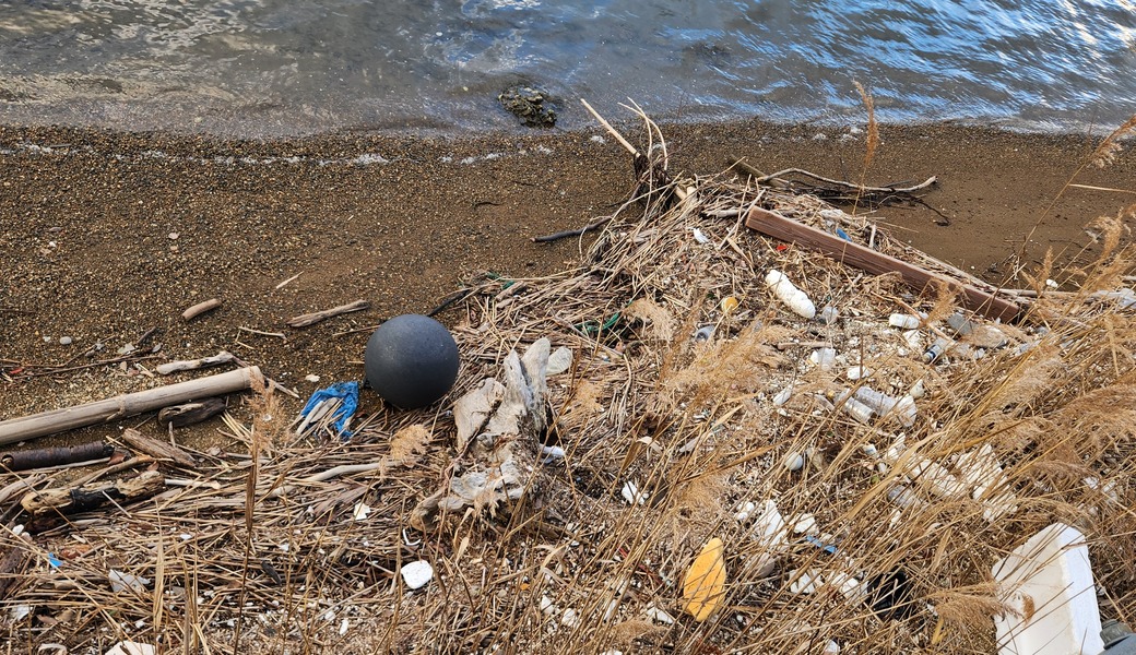 お散歩ビーチクリーン＠阿納尻 アイキャッチ