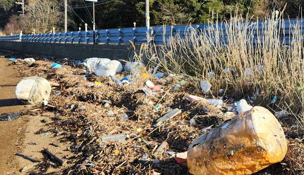 お散歩ビーチクリーン＠阿納尻(3月1日は中止） アイキャッチ