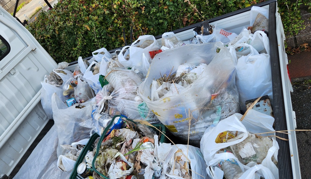 お花見クリーン＠南川 レポート