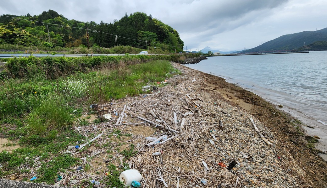 お散歩ビーチクリーン＠鯉川 レポート