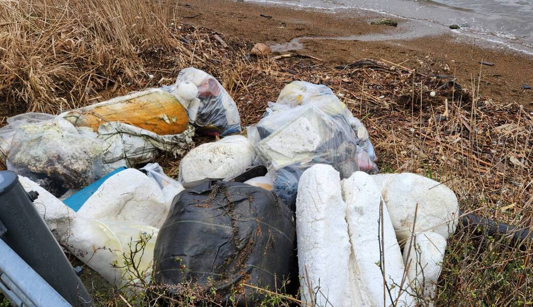 お散歩ビーチクリーン＠阿納尻(2月毎週土曜9:00-） レポート