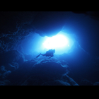 BLUE SHIP freelance プロフィール