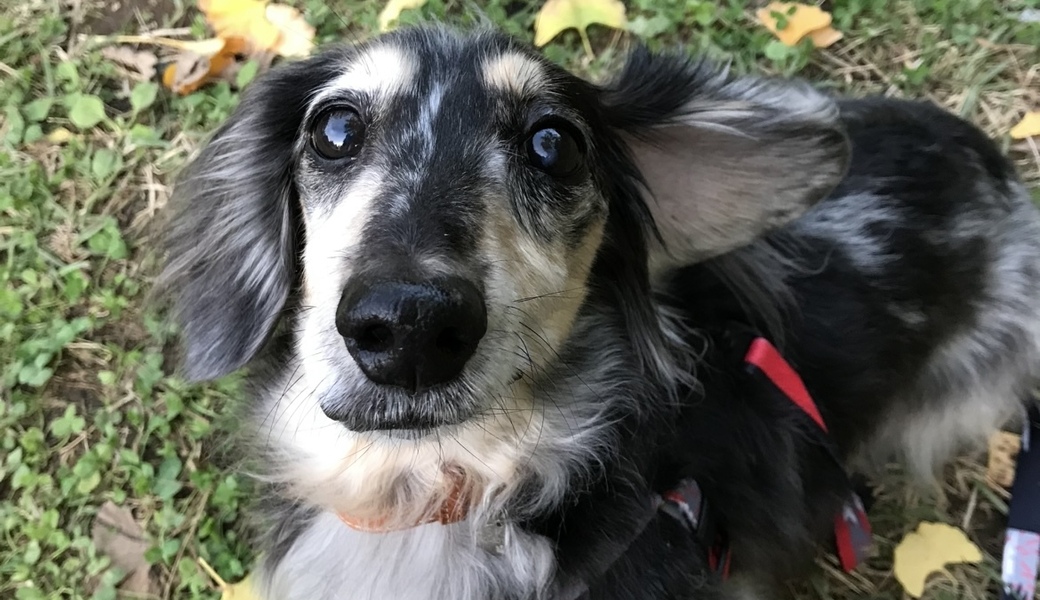 第18回 ブルーサンタ荒川 アイキャッチ