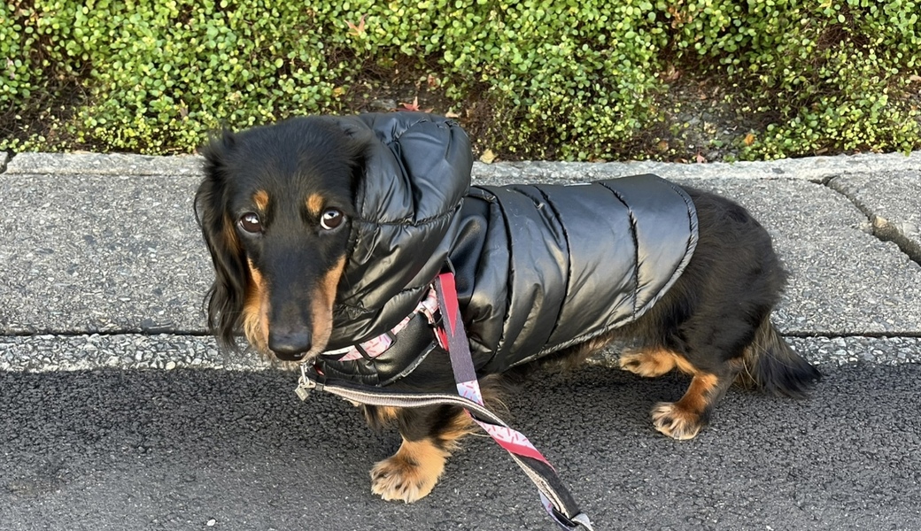 第20回 ブルーサンタ甲子園 アイキャッチ