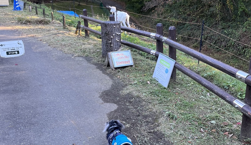 第23回 ブルーサンタ所沢トトロの森 アイキャッチ