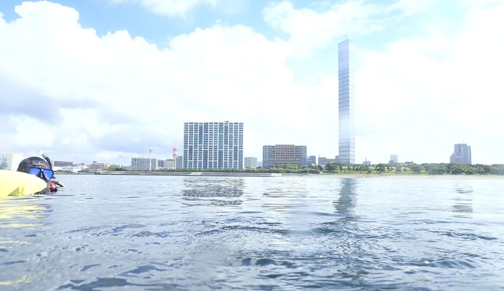 千葉ポートパーク水中清掃 レポート