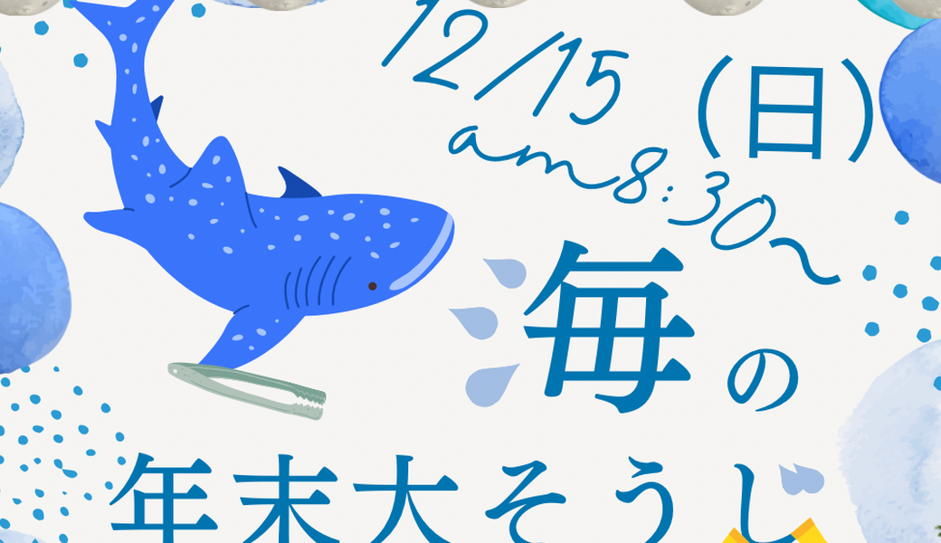 海の年末大掃除 アイキャッチ