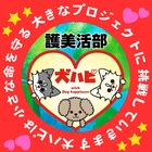護美活部team犬ハピ プロフィール