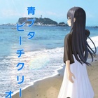 青ブタビーチクリーンオフ会 プロフィール