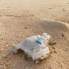 cleanup shizuoka プロフィール