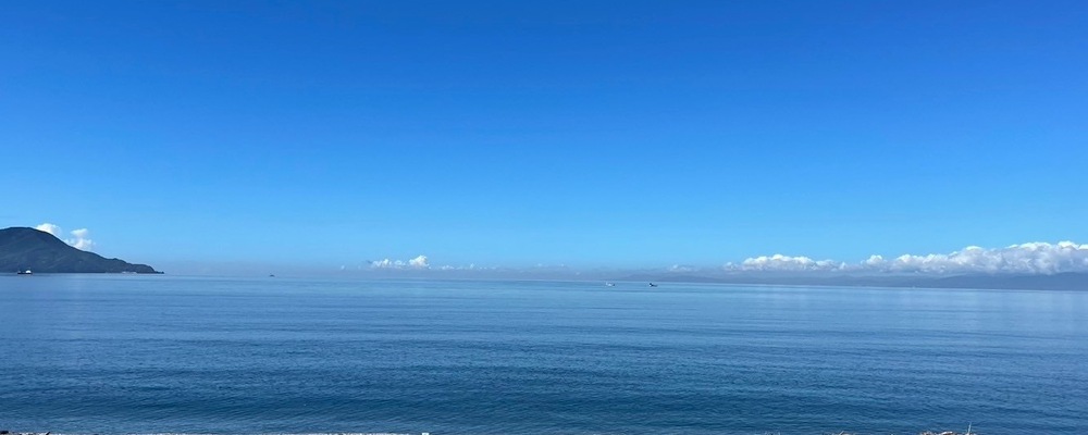 cleanup shizuoka カバー