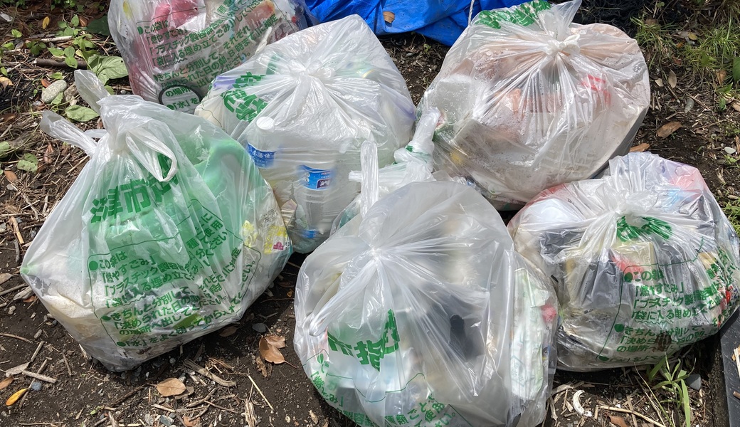 cleanup shizuoka レポート