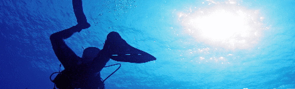 ダイビングスクール&プロショップ Sea Magic カバー