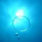 ダイビングスクール&プロショップ Sea Magic プロフィール