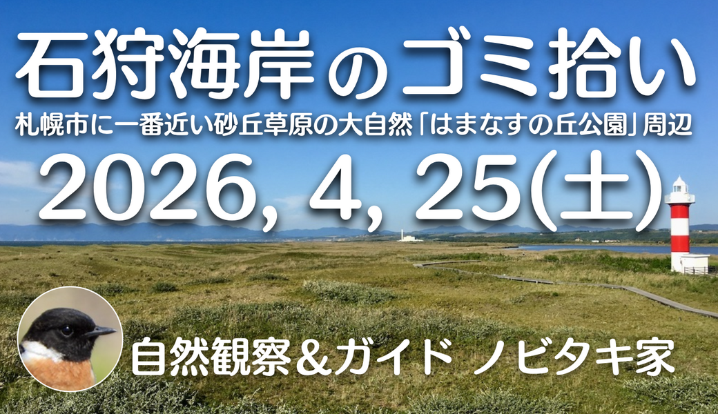 春のはまなすの丘公園周辺河口付近のクリーンアップ アイキャッチ