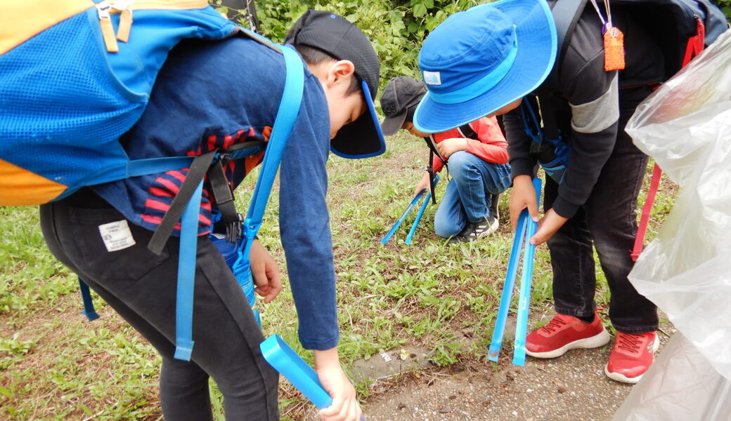 海山eco レポート