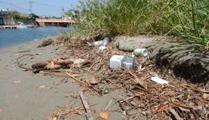 海山eco アイキャッチ