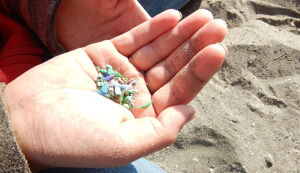 海山eco アイキャッチ