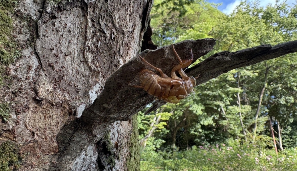 エコスタイルクラブ＠庄内緑地 レポート