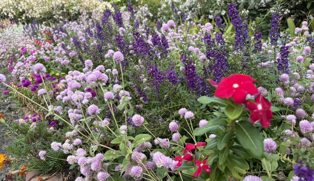 エコスタイルクラブ@荒子川公園 WORLD CLEANUP DAY 2025 レポート