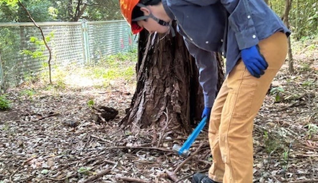 【BLUE SANTA 2025】ファンネストの森周辺のゴミ拾い アイキャッチ