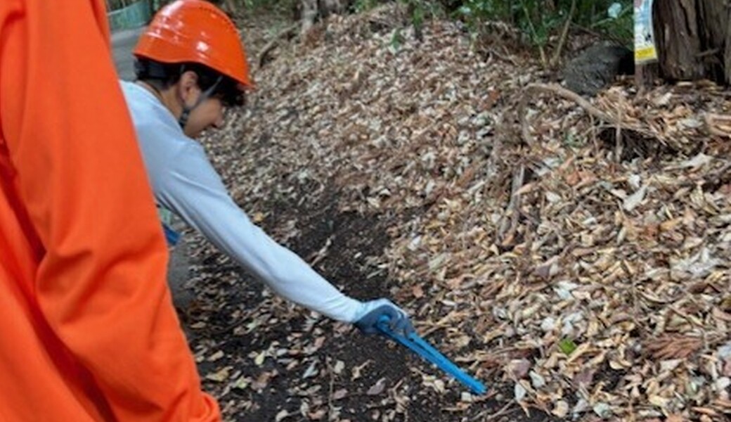ファンネストの森周辺のゴミ拾い アイキャッチ