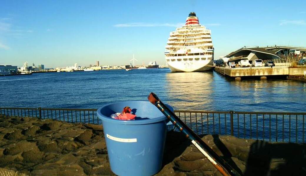 【BLUE SANTA 2025】象の鼻パークお掃除隊 アイキャッチ