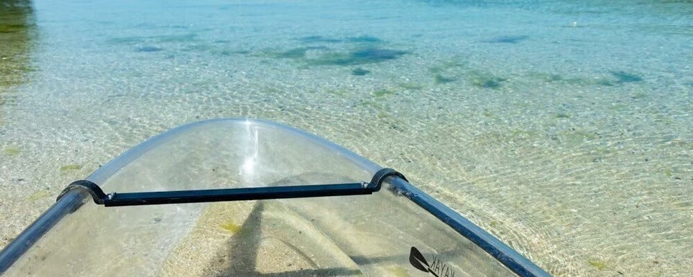 NPO法人おもいでつくる水俣 カバー