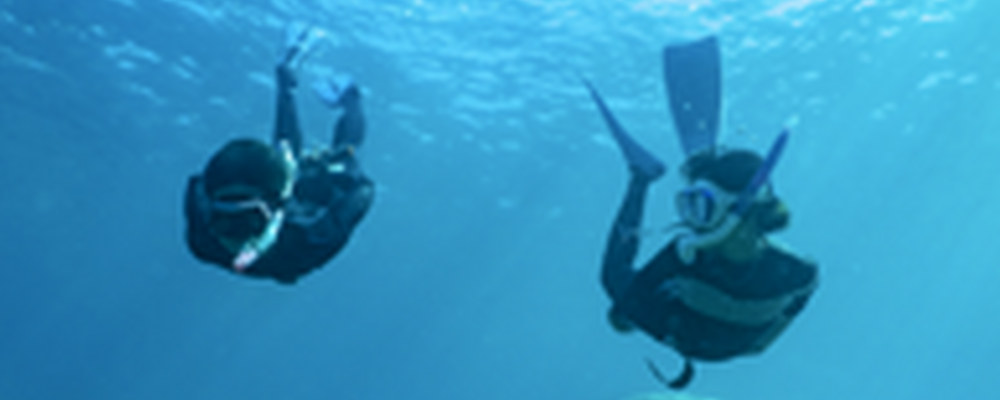 emerald blue カバー