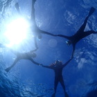 Sea zooダイビングショップ プロフィール