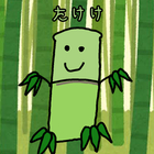 100年先の森を守る　たけけ プロフィール