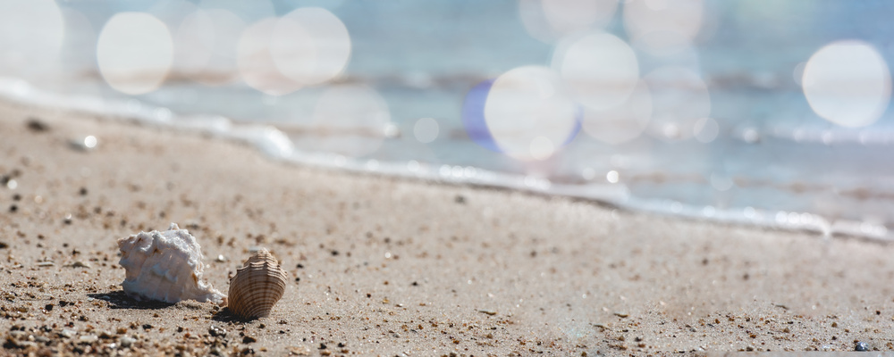 PROSPERITI PARTNERS カバー