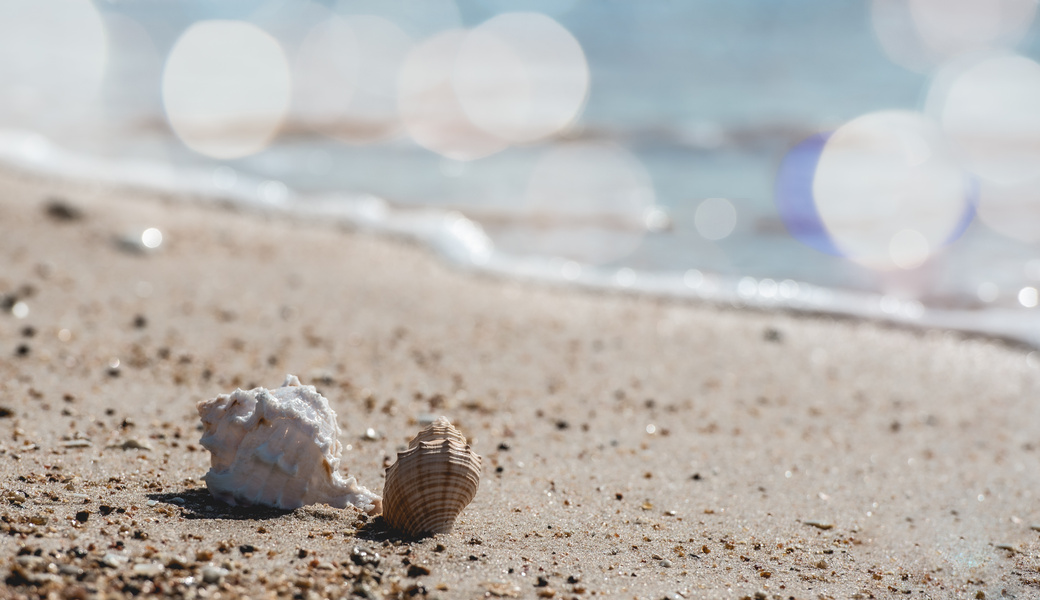 第1回プロパト地域貢献プロジェクト アイキャッチ