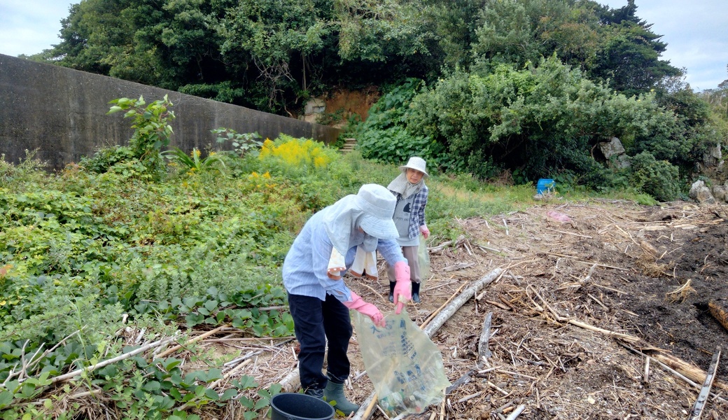 fuunoごみ拾い レポート