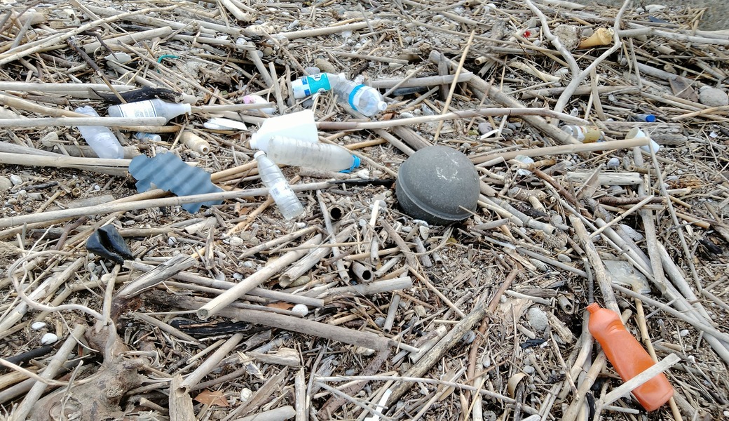 fuunoごみ拾い レポート