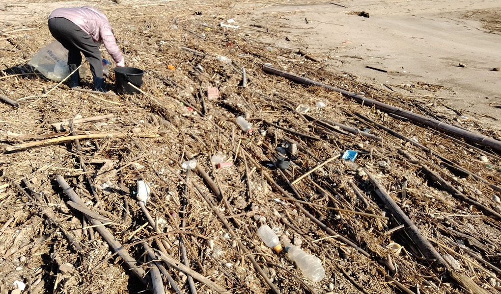 fuunoごみ拾い レポート