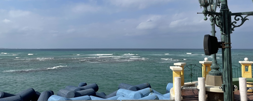 うみっこぐらし カバー