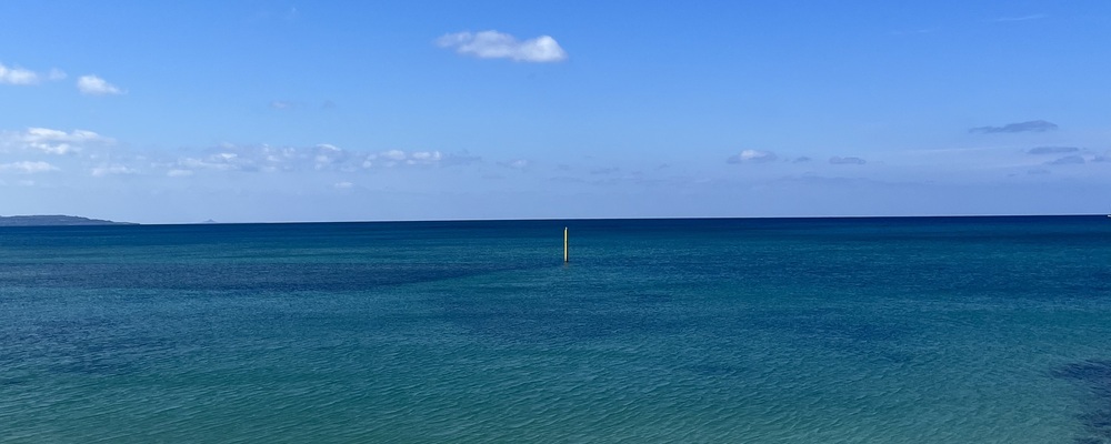 やんばるん カバー