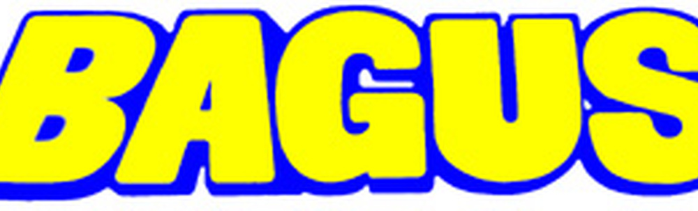 バグース倉敷 カバー