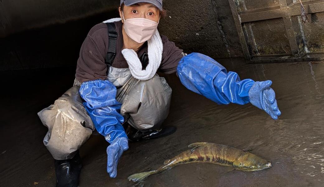 10月3日の運河清掃 アイキャッチ