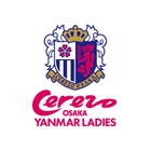 セレッソ大阪ヤンマーレディース プロフィール