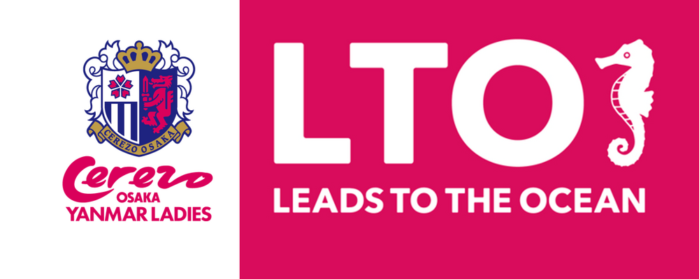セレッソ大阪ヤンマーレディース カバー