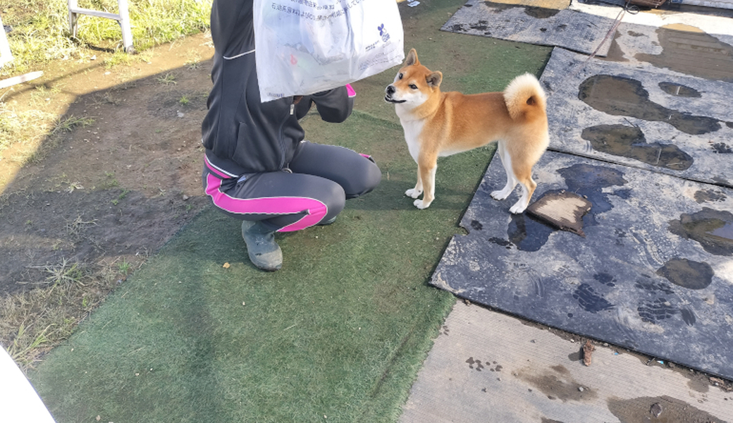 栃木県真岡市久下田 本郷地区のごみ拾いを行いました レポート