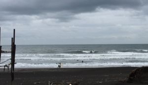 ブルートング.ビーチクリーン アイキャッチ