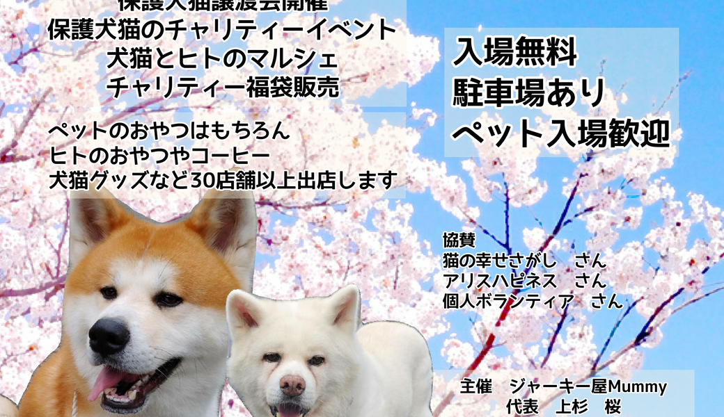 Mummy 5周年だヨ！全員集合 アイキャッチ