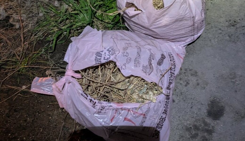 嫁島高架橋の葛取り レポート