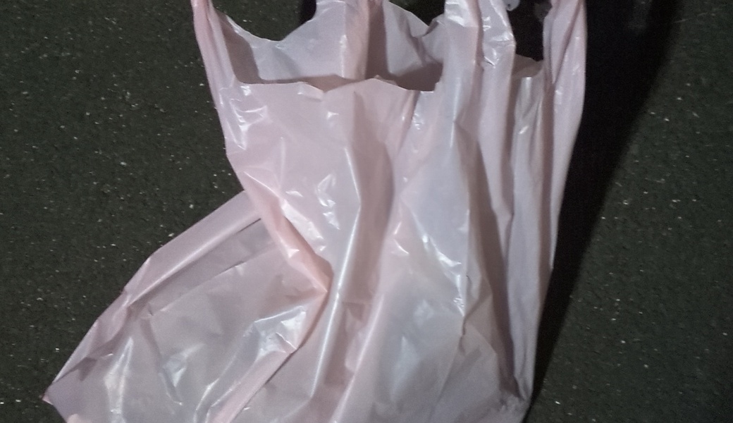 朝酌川のゴミ拾い レポート